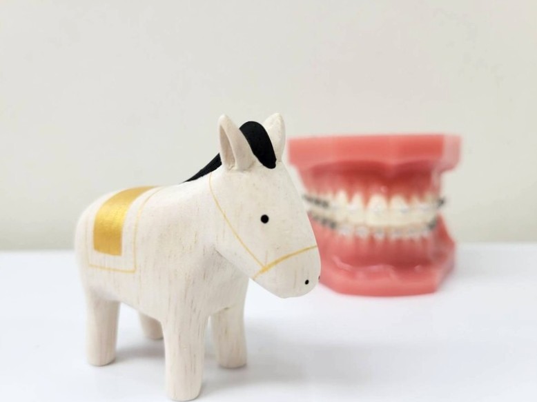 新年のご挨拶と1月の診療について